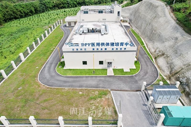 了不起!内江这个&ldquo;器官工厂&rdquo;最新揭秘